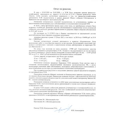 Отчет ревизора 2018 - 2019.jpg